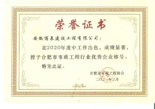 2020年度合肥市市政乐投（中国）一站式服务平台行业优秀企业
